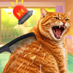Brush Cat Challenge